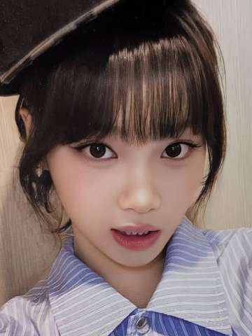 hl82预售 采 单封ver.