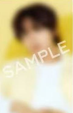 26台历sm日本 灿