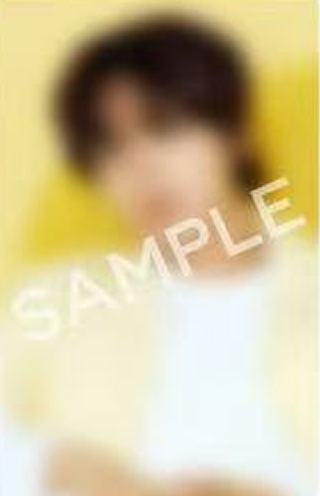 26台历sm日本 灿