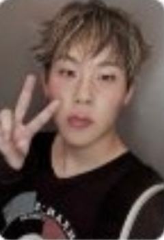 mxstore预售6 ver.A