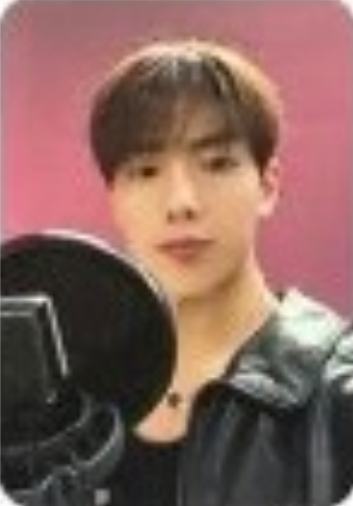 dingo幸运卡1 ver.A