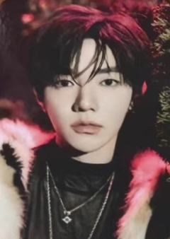 快闪游戏卡1 ver.C