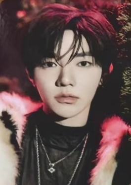 快闪游戏卡1 ver.C