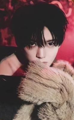 快闪游戏卡9 ver.C