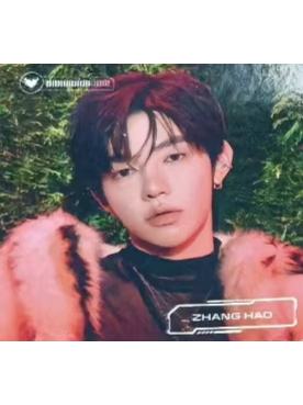 快闪游戏卡1 ver.A