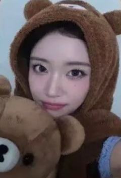 hl3.0签售 珉 布朗熊ver.