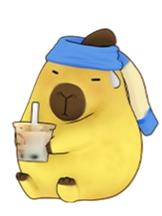 戴珍珠耳环的巴拉