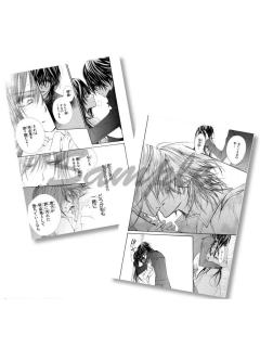 复制原稿套装C-2025年原画展