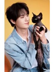 网易严选代言卡 ver.A