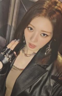 京东签售1.0 茶 ver.A