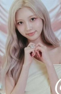 场周随机卡 秋ver.A