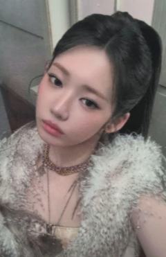 日本乐天预售 茶