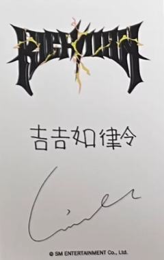 kms预售 梨 ver.A-资料图