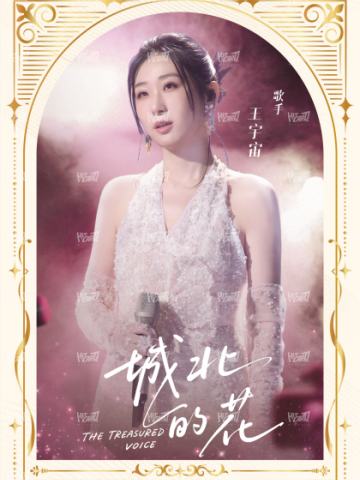 199编-天赐金曲卡-小书卡6