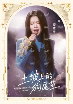 199编-天赐金曲卡-小书卡2