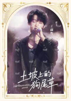 199编-天赐金曲卡-小书卡3