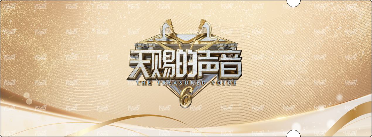 节目录制入场券