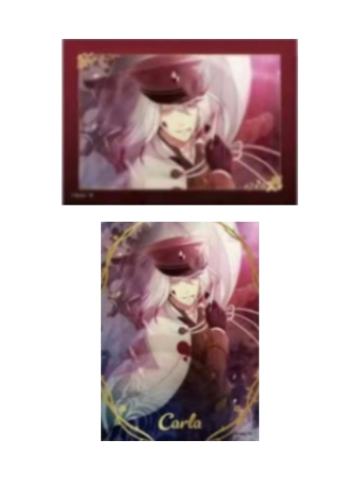 月浪卡拉-D赏相卡