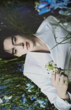 安可场周随机卡4 ver.D