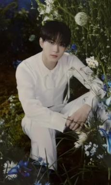 安可场周随机卡6 ver.H