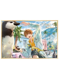 夏彦-朝海回音系列亚克力色纸单人款