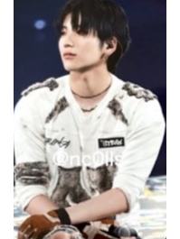 日本安可随机卡5 ver.D