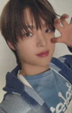 日本安可zone卡4