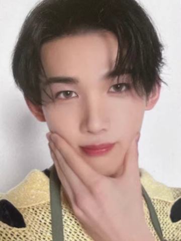 日本安可zone卡6