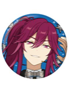 圆果望见-DREAM LIVE Tour 10th 徽章套装