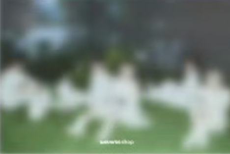 日咖幸运卡 团 ver.A