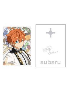 明星昴流-DREAM LIVE Tour 10th 灯光棒装饰套组