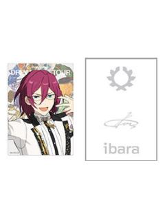 七种茨-DREAM LIVE Tour 10th 灯光棒装饰套组