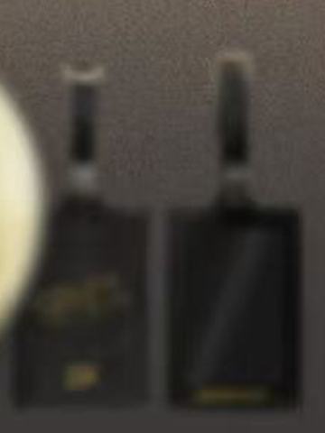 高梵代言行李牌