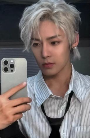 q音星光卡 四星ver.2