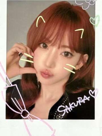 东蛋场周手绘拍立得 樱