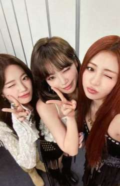 东蛋场周衣服卡 采允叶