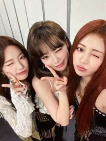 东蛋场周衣服卡 采允叶