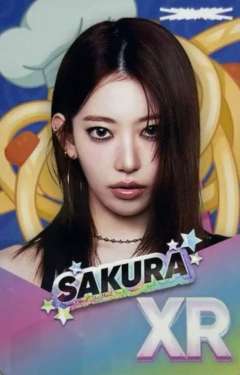 东蛋场周游戏卡 樱ver.C