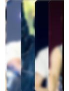 25日本fm DC固卡 硕