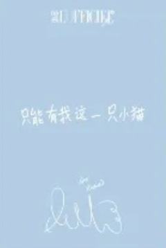 时装A版自拍卡 ver.B-资料图