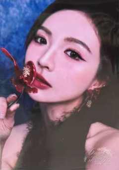 许杨玉琢 Dreams Never Die画册内封ver.A