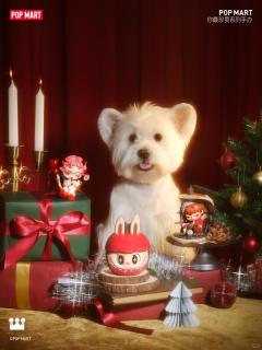 雪球里的秘密-资料图