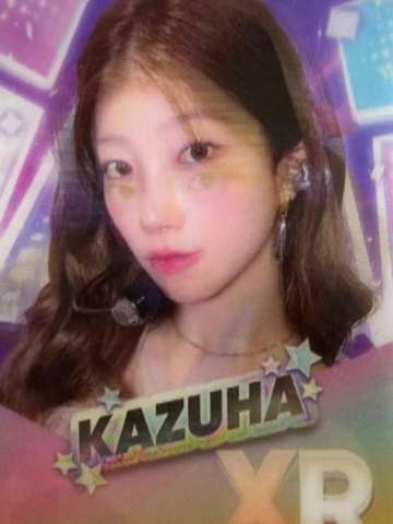 东蛋场周游戏卡 叶 ver.B