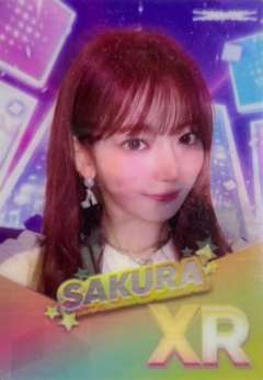 东蛋场周游戏卡 樱ver.B