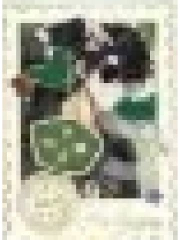 黑瞎子-探险系列金属书签