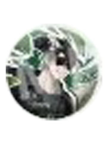 黑瞎子-探险系列冰箱贴