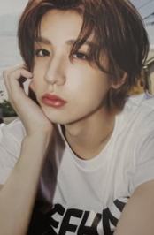 vivi塔店明信片5