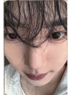 sw签售1.0 9怼脸ver.