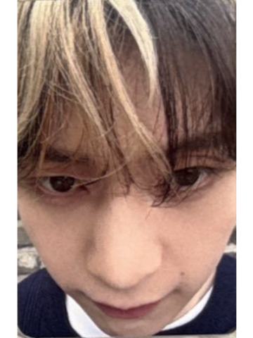 sw签售1.0 3怼脸ver.