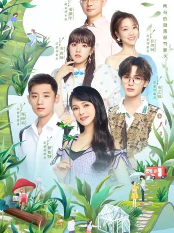 我们恋爱吧第三季